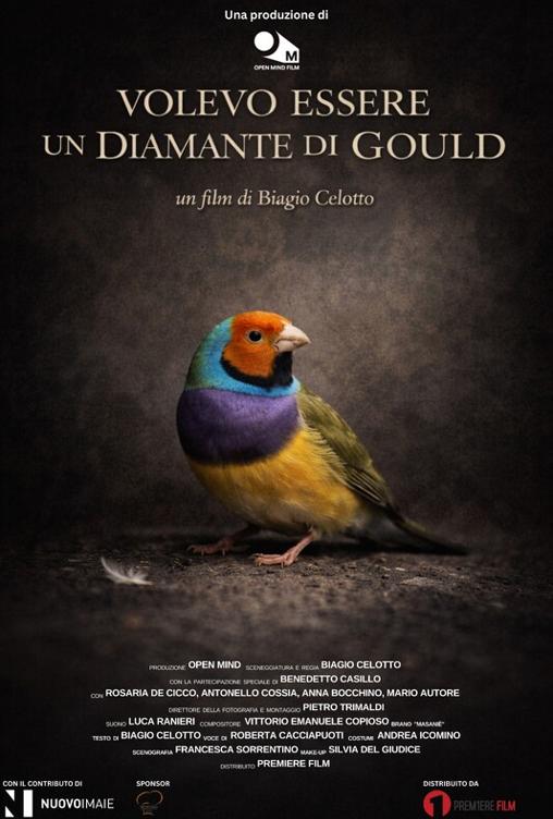 Volevo Essere un Diamante di Gould