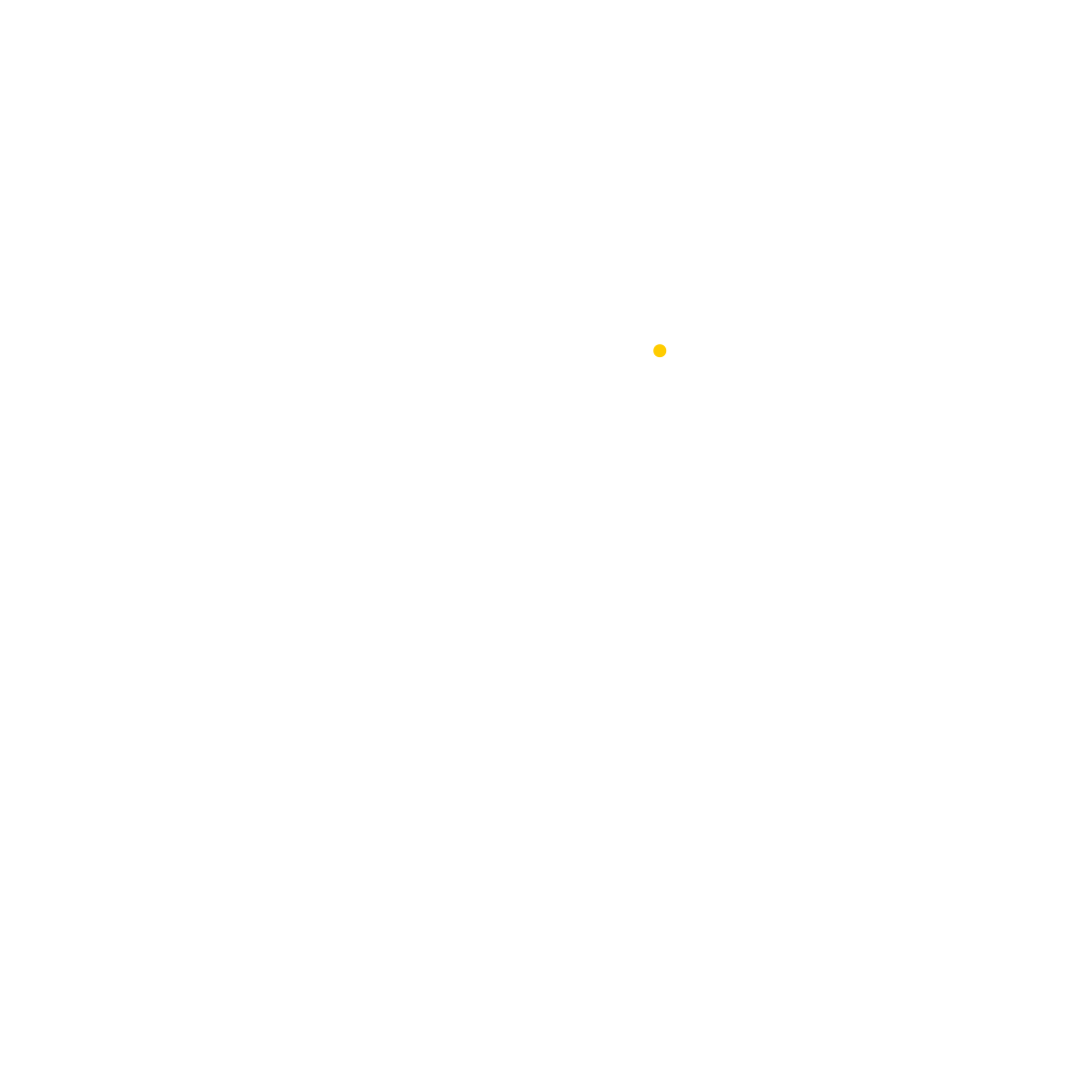 The Date